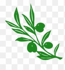Olive Tree Branch Vector Image - Trees Clip Art Emoji