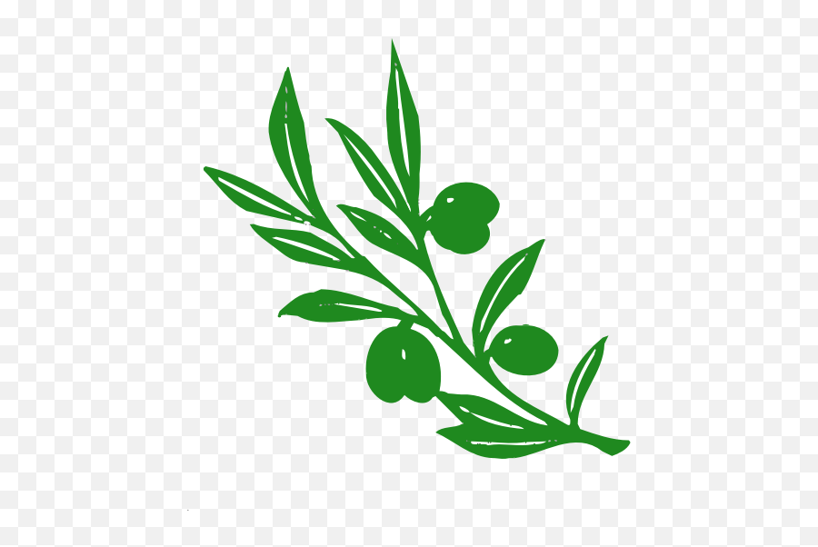 Olive Tree Branch Vector Image - Olive Trees Clip Art Emoji,Olive Branch Emoji