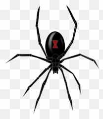 Black Widow Spider Png Clipart - Black Widow Spider Icon Emoji,Spider Emoji