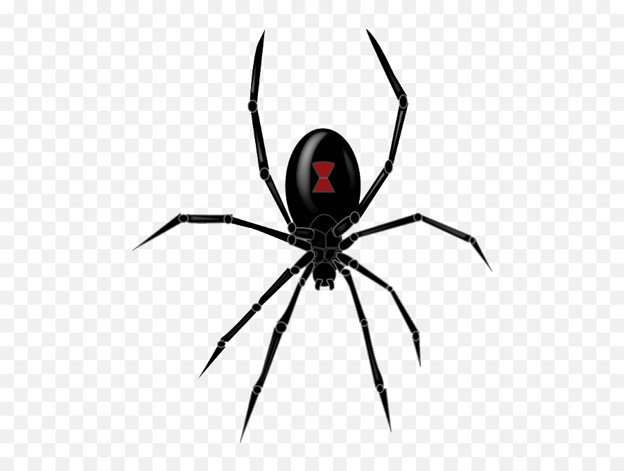 Black Widow Spider Png Clipart - Black Widow Spider Icon Emoji,Spider Emoji