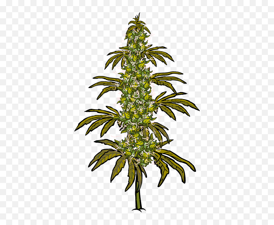 Bud Farm - Stickers By Ldrly Spruce Emoji,Weed Plant Emoji