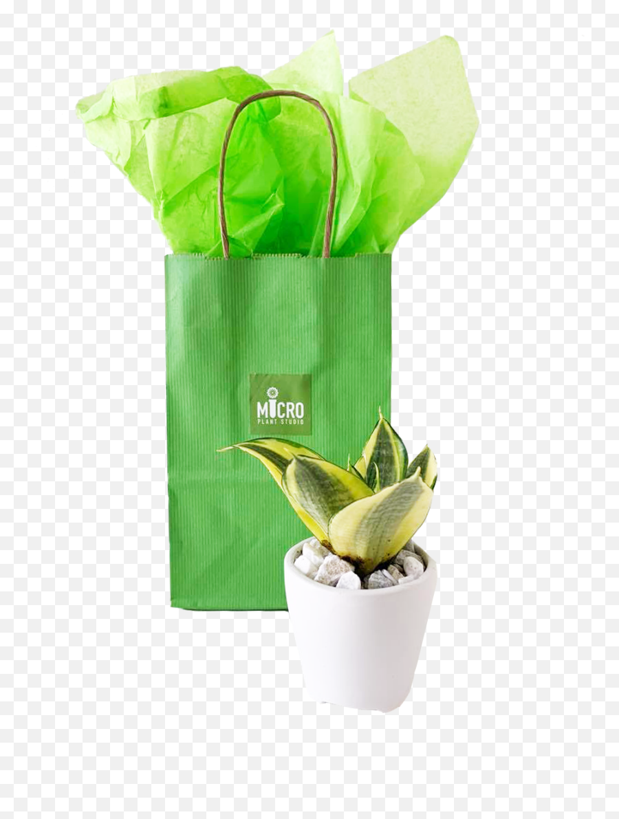 Buy To Give - Flowerpot Emoji,Lily Flower Emoji