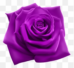 Purple Fall Clipart - Rose Png Emoji