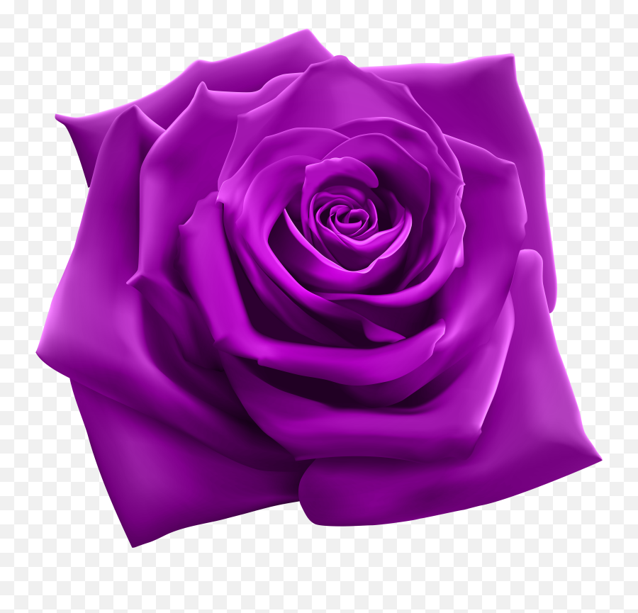 Purple Fall Clipart - Purple Rose Png Emoji,Purple Squash Emoji