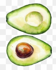 Avacado Guacamole Food Watercolor - Simple Paintings Emoji