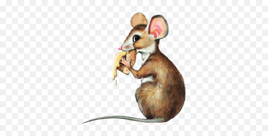 Tubes Souris - Gif Merci Pour L Invitation Emoji,Mouse Bunny Hamster Emoji