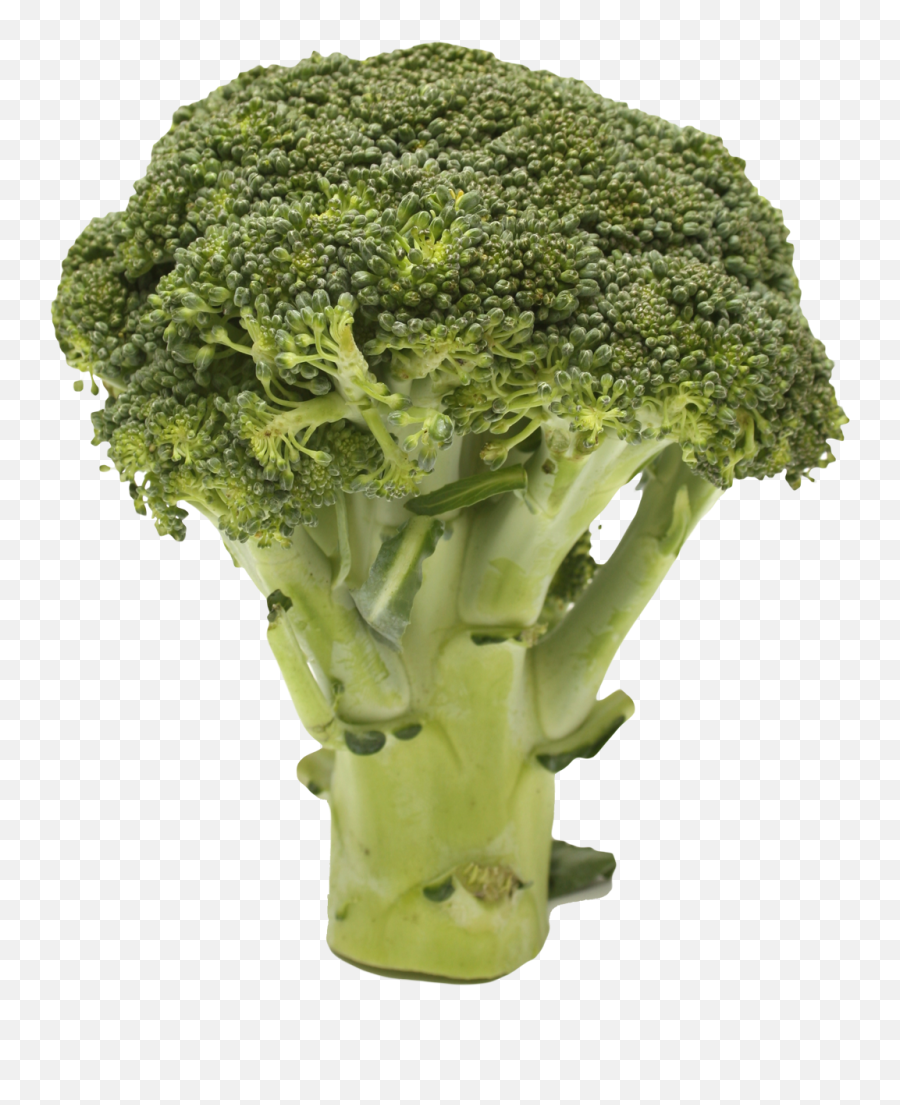 Picture - Brocccoli With Transparent Background Emoji,Broccoli Emoticon
