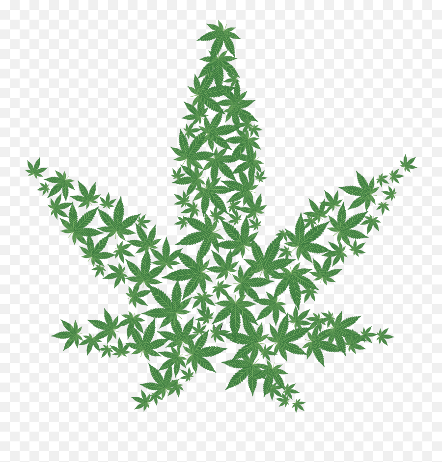 Pot Cannabis Marijuana Leaf Png Hd - Pot Leaf Emoji,Pot Leaf Emoji