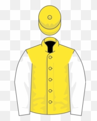 Owner Mr Guy Pariente - Thoroughbred Emoji,Diamond Emoticon