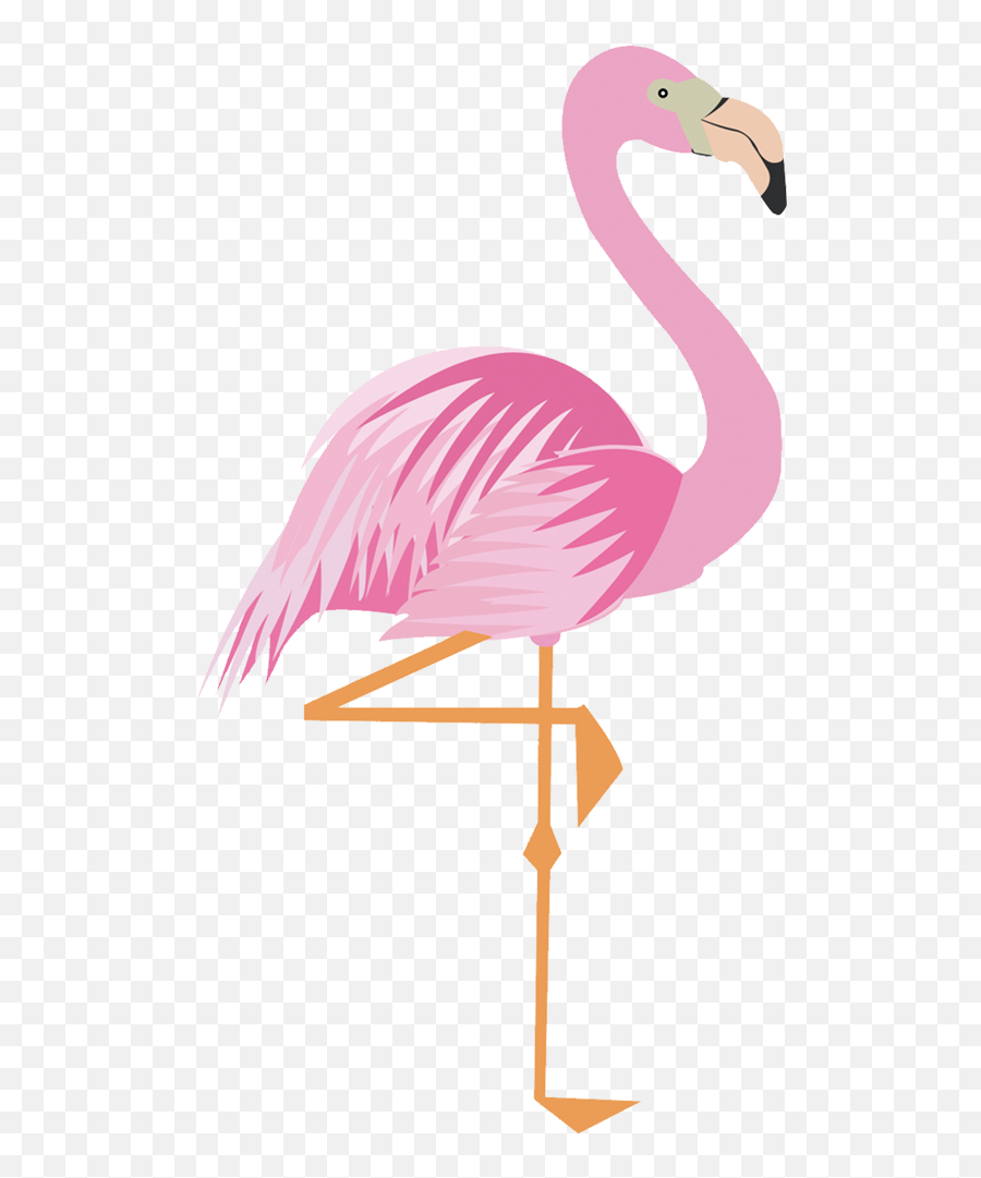 Greater Flamingo Drawing Cartoon - Pink Cartoon Flamingo 17 Flamingo Clipart Emoji,Flamingo Emoji For Iphone