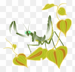 Illustration Emoji