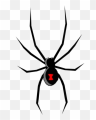 Spider Clipart Arachnid Spider Arachnid Transparent Free - Black Widow Spider Cartoon Emoji,Spider Emoji