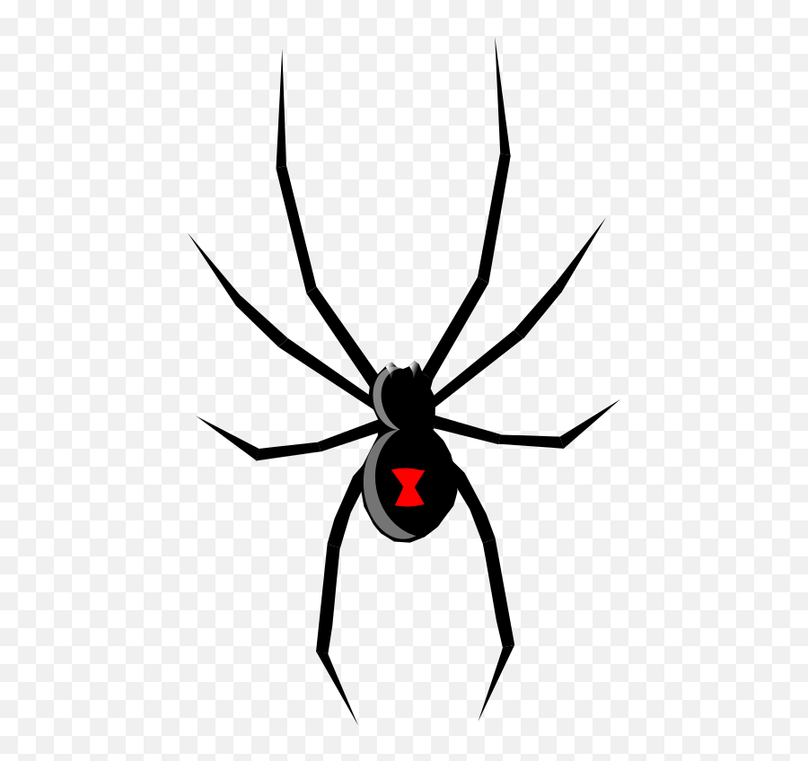 Spider Clipart Arachnid Spider Arachnid Transparent Free - Black Widow Spider Cartoon Emoji,Spider Emoji