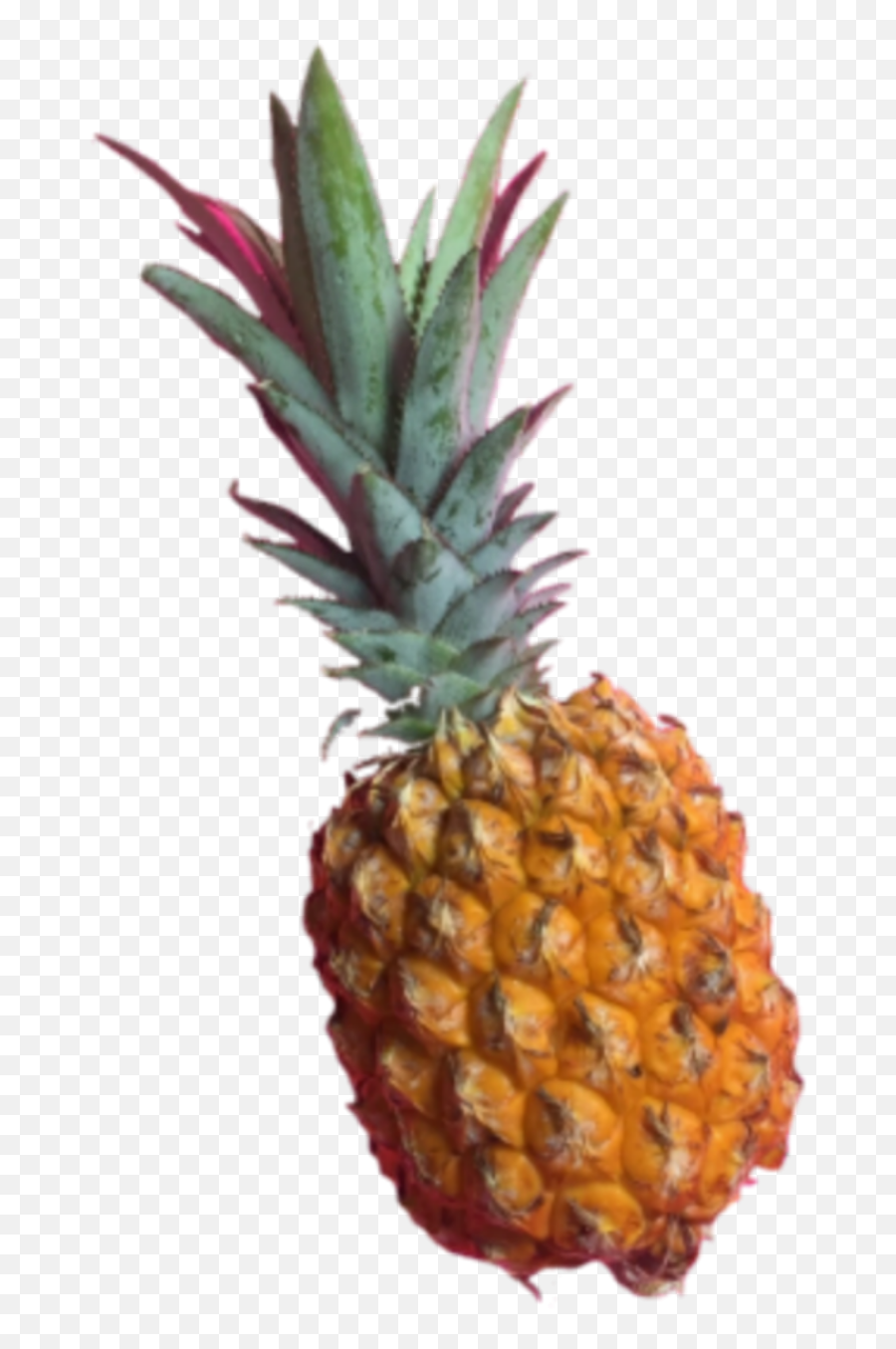 Pineapple - Pineapple Emoji,Pineapple Emoji Png