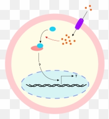Feedback For Affinity Designer - Circle Emoji