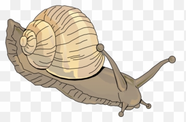 Snail Clipart 5 Image - Clipartix Transparent Background Snail Clipart Emoji,Snail Emoji