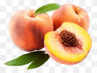 Peach Png And Vectors For Free Download - Dlpngcom Peach Fruit Transparent Background Emoji,Ios 10.2 Peach Emoji