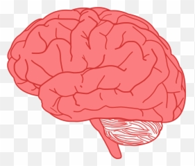 Nervous clipart transparent Transparent - Brain Clipart Emoji