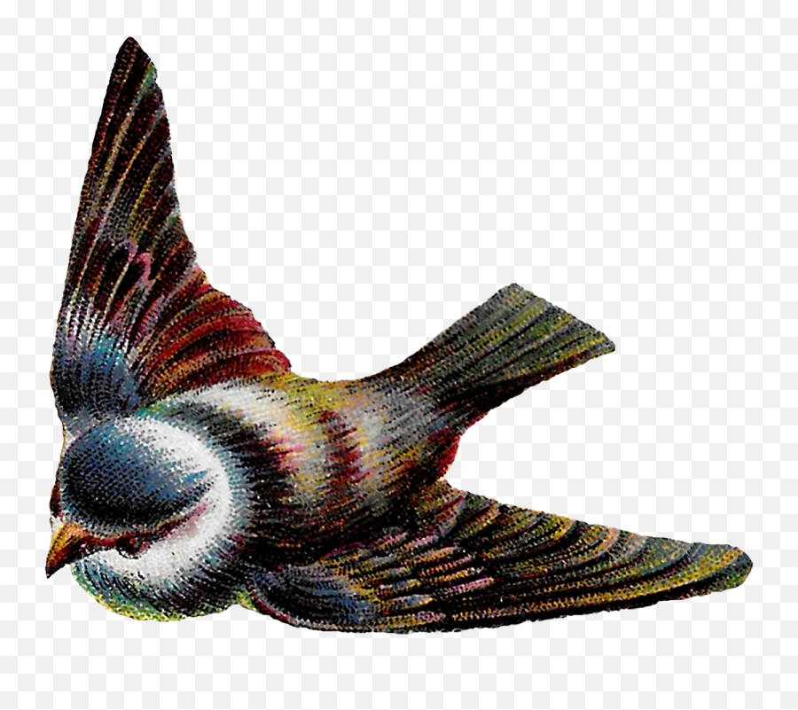 Flying Clipart Birdclip Flying Birdclip Transparent Free - Transparent Flying Bird Clipart Emoji,Flying Bird Emoji