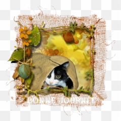 Top Vegas Golden Knights Stickers For Android U0026 Ios Gfycat - Decorative Emoji,Leaf Pig Emoji