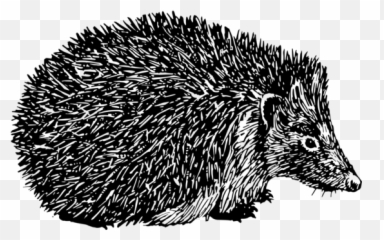 Porcupine Clipart Hedgehog Face - Free Clipart Images Hedgehog Emoji,Porcupine Emoji