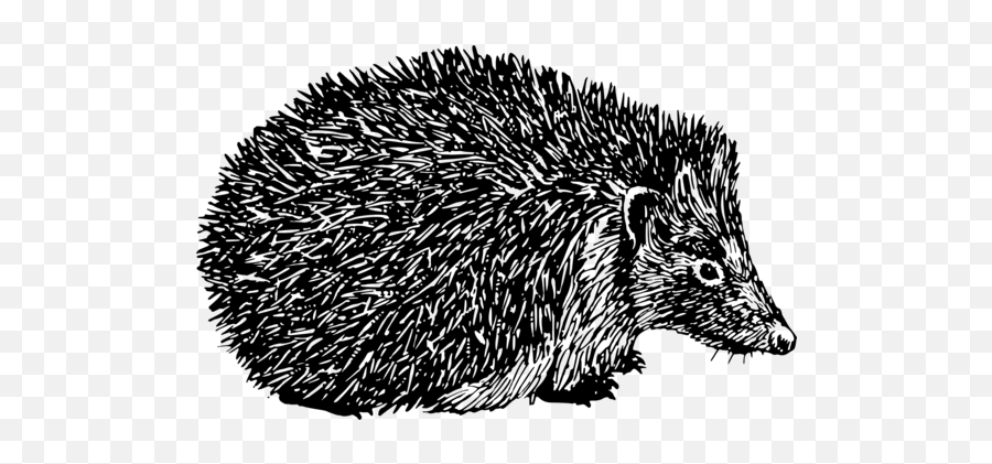 Porcupine Clipart Hedgehog Face - Free Clipart Images Hedgehog Emoji,Porcupine Emoji