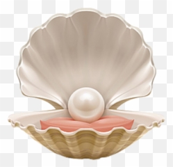 Art Shell Clam Pearl Different Sticker - Pearl In Oyster Clipart Emoji,Clam Emoji