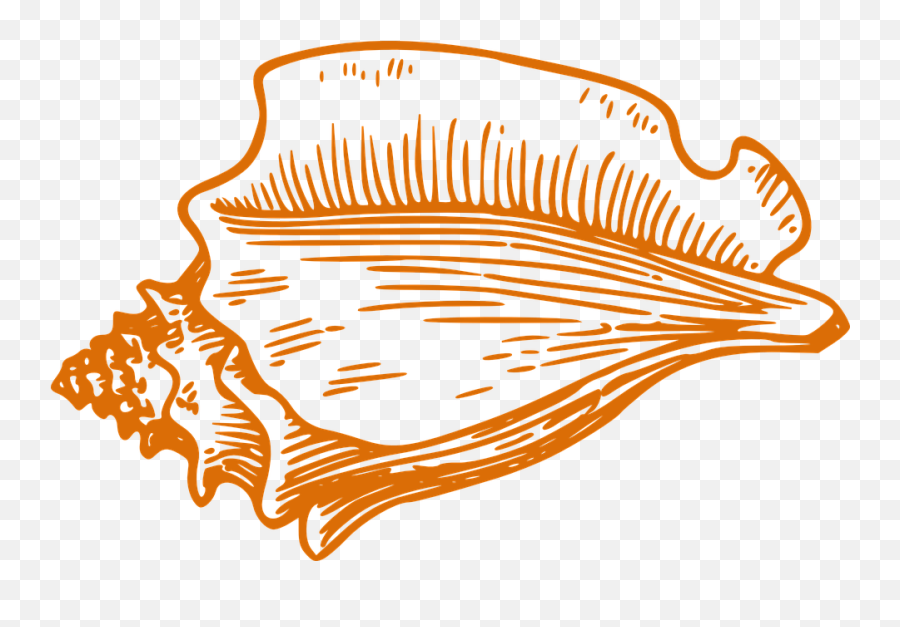 Shell Conch Orange - Clip Art Conch Shell Emoji,Conch Shell Emoji