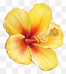 Sunset clipart sunset hawaii - Transparent Background Tropical Flower Png Emoji