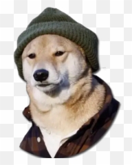 Firulais 1 Stickers For Whatsapp - Dogecoin Emoji,Knitting Emoji Android