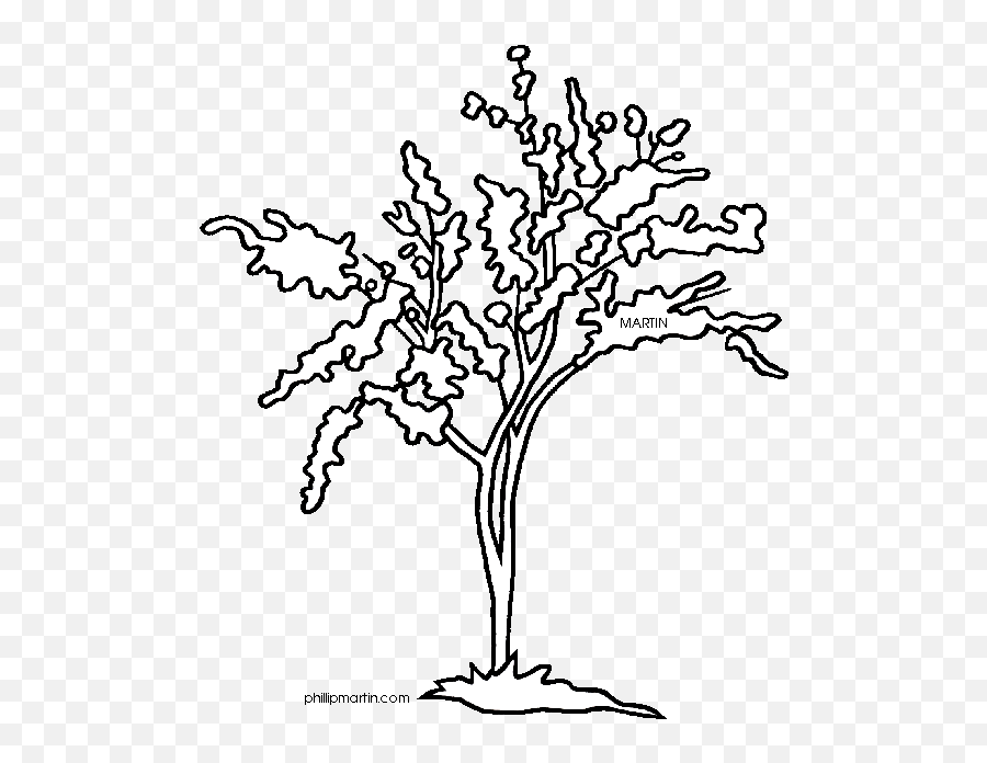 Free State Of Oklahoma Clipart Download Free Clip Art Free - Tree With Buds Coloring Emoji,Oklahoma Flag Emoji