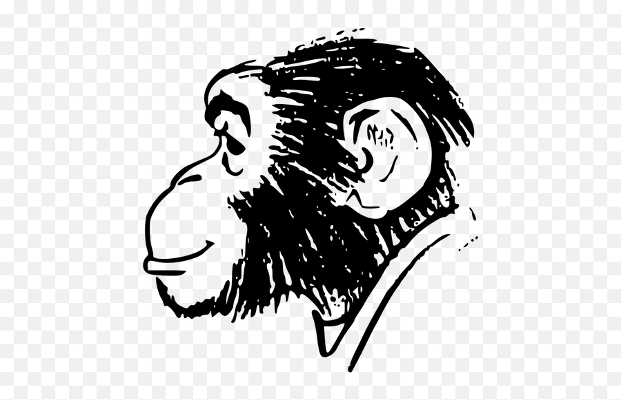 Monkeys Head - Monkey Head Drawing Emoji,Thinking Emoji
