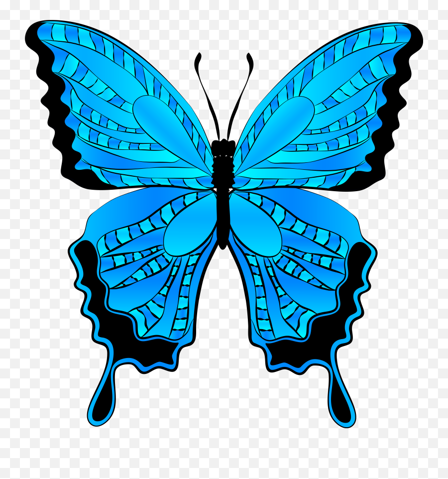 Butterfly Clipart Blue Picture - Transparent Background Blue Butterfly Clipart Emoji,Free Butterfly Emoji