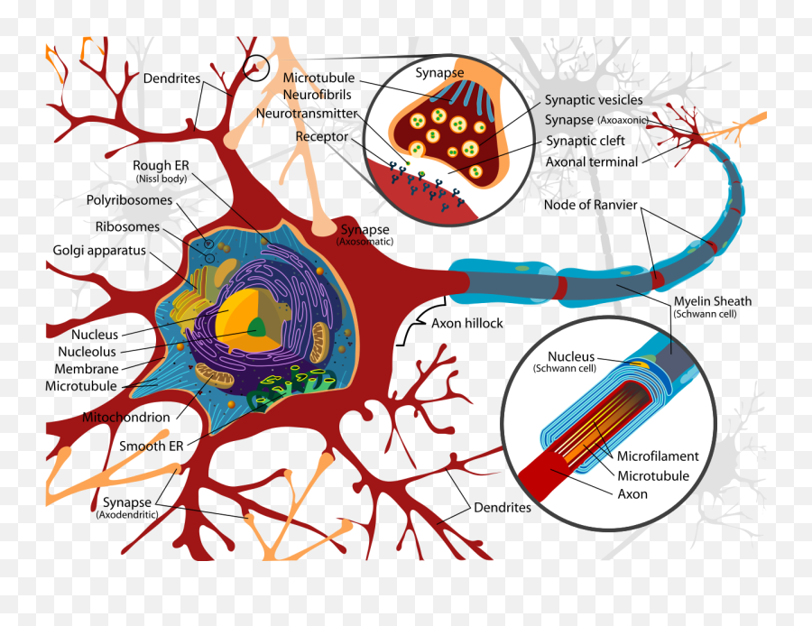 Neurotoxin - Inside A Nerve Cell Emoji,Emoticon Meanings