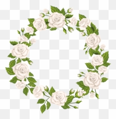 Roses Rose White Whiterose Whiteroses - Border White Roses Clipart Emoji,White Rose Emoji