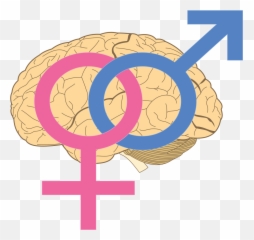Sapioheterosexuality Symbol - Sexual Orientation Symbol Transparent Emoji,Emotional Symbols