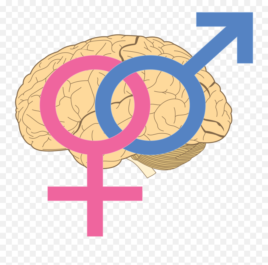 Sapioheterosexuality Symbol - Sexual Orientation Symbol Transparent Emoji,Emotional Symbols