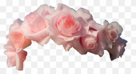 Flower Crowns Transparent u0026 Free - Pink Png Emoji