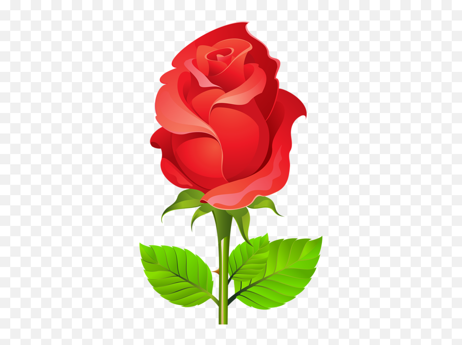 Christine Staniforth - Rose Ka Emoji,Red Rose Emoji