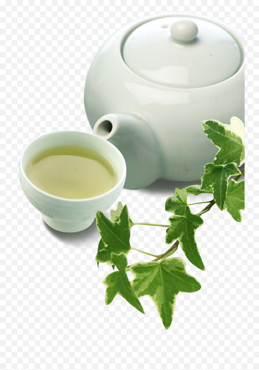 Green Tea Cup Chawan Teaware Emoji,Green Tea Emoji
