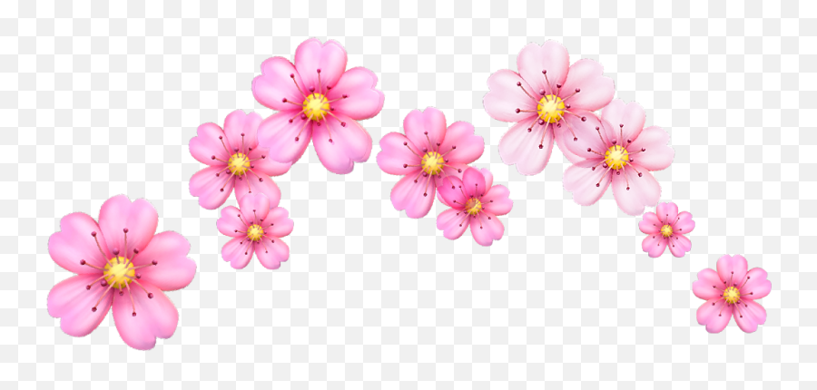 Crown Crownflower Flower Flowercrown Cherry Cherrybloss - Flower Emoji Crown Png,Sakura Emoji