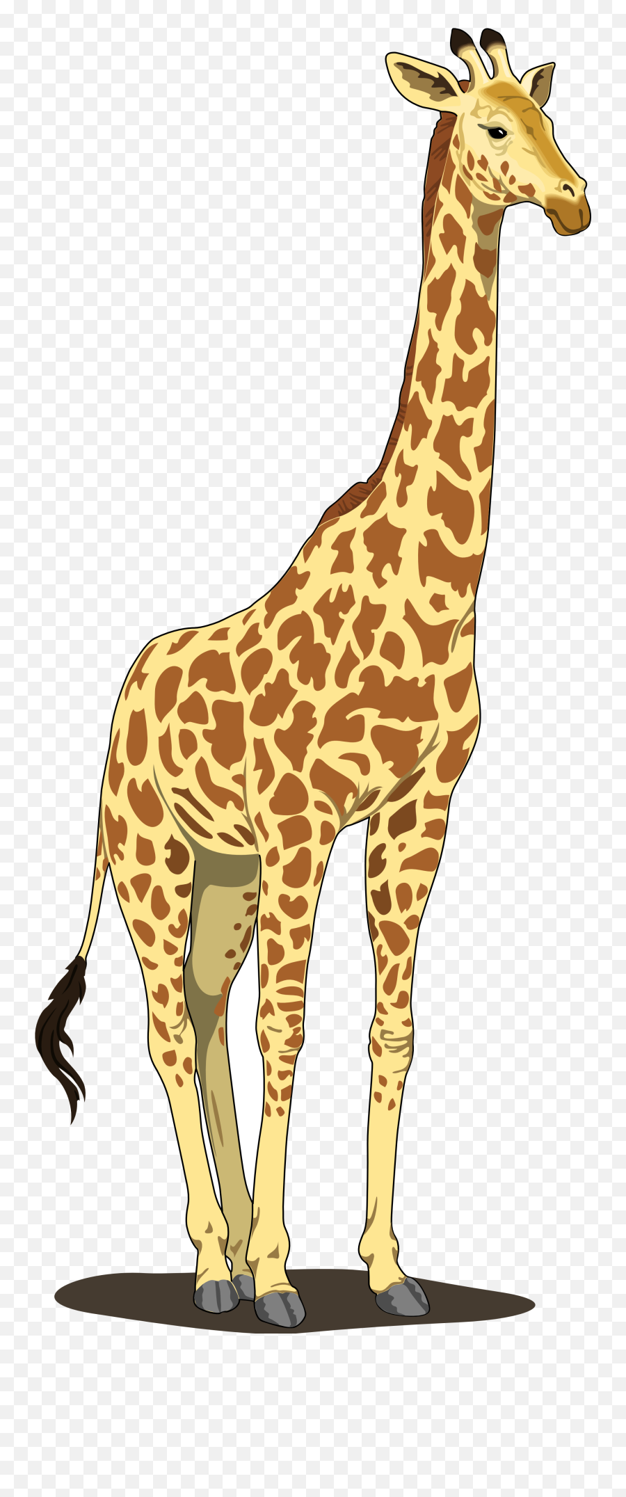 Free Giraffe Transparent Background - Giraffe Clipart Emoji,Giraffe Emoji For Iphone