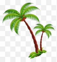 Coconut Tree Png Download - Transparent Emoji