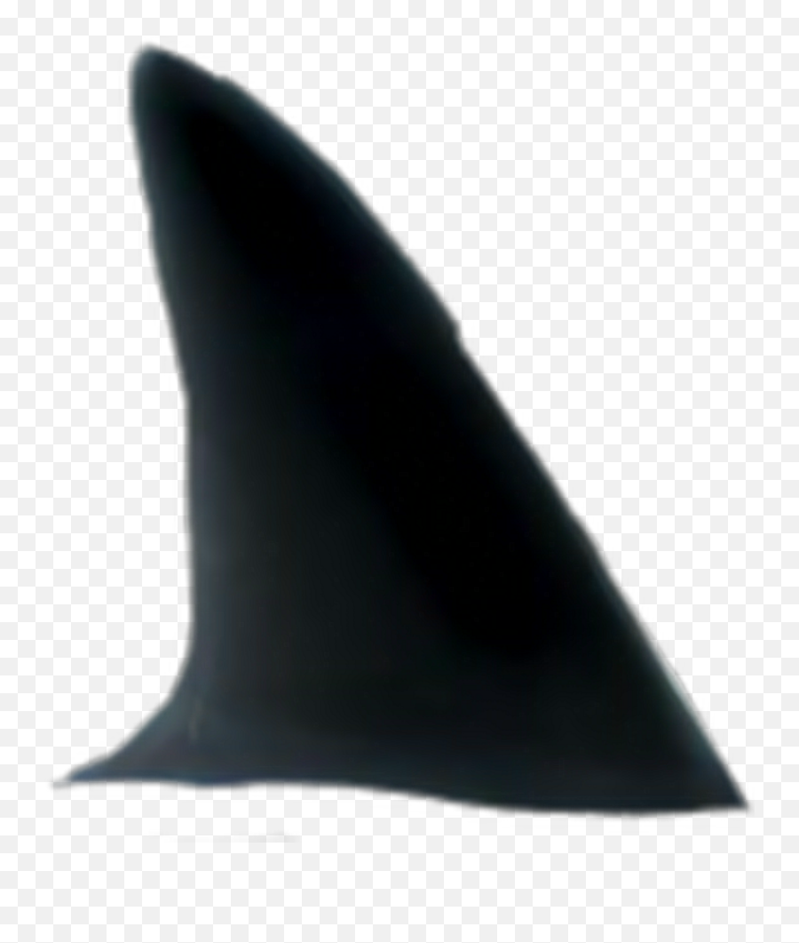 Sharkfin - Whale Emoji,Shark Fin Emoji