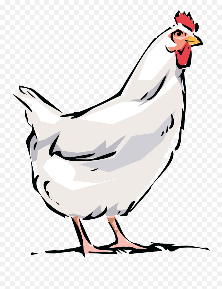 White Chicken Clipart Png - Chicken Clipart Transparent Background Emoji,Chicken Emoji Png