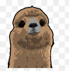 Took - Ugly Emoji,Groundhog Emoji