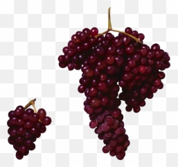 Collection Of Free Grape Vector Berry Emoji,Grape Emoji