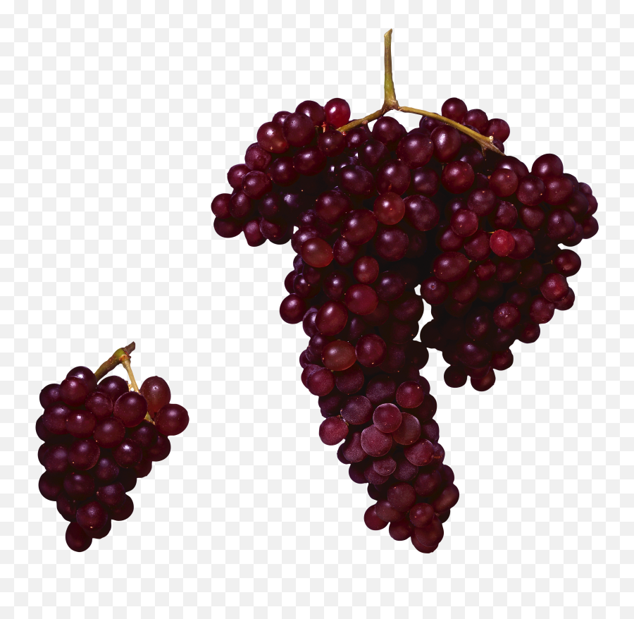 Collection Of Free Grape Vector Berry Emoji,Grape Emoji