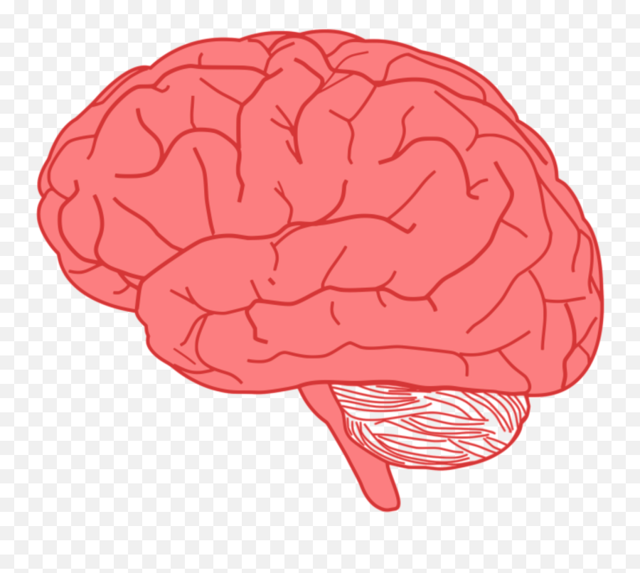 Brain Brainlame Lamegame - Brain Clipart Transparent Background Emoji,Emoji Brain