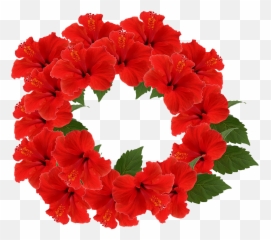 Hibiscus Crown Flower Red - Emoji